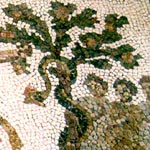 dragão hesperidano
